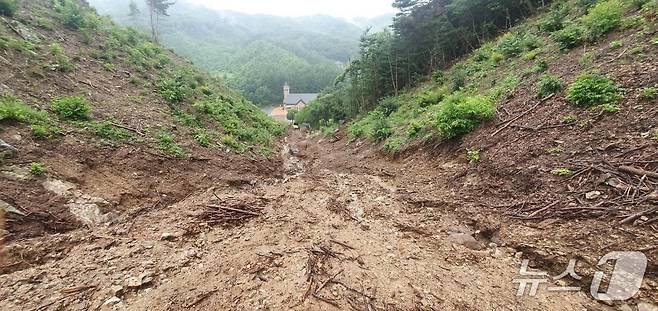 진천군 백곡면 양백리 과거 산사태 발생 현장 모습.(진천군 제공, 재판매 및 DB금지)/뉴스1