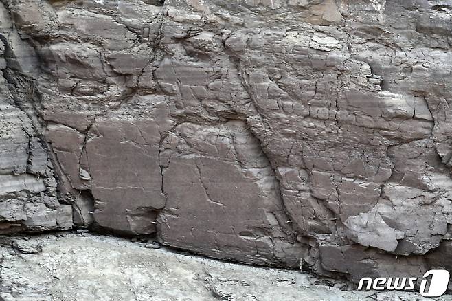 울산시 울주군 언양읍 대곡리에 위치한 국보 제285호 반구대 암각화. 2021.2.17/뉴스1 ⓒ News1 윤일지 기자