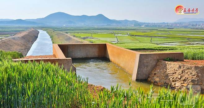 (평양 노동신문=뉴스1) = 북한 노동당 기관지 노동신문은 27일 "강령호 담수화의 덕으로 강령과 옹진지구의 농촌들이 물걱정을 모르고 농사를 짓고 있다＂면서 ＂당의 관개건설 정책의 정당성과 생활력의 과시＂라고 강조했다. [국내에서만 사용가능. 재배포 금지. DB 금지. For Use Only in the Republic of Korea. Redistribution Prohibited] rodongphoto@news1.kr