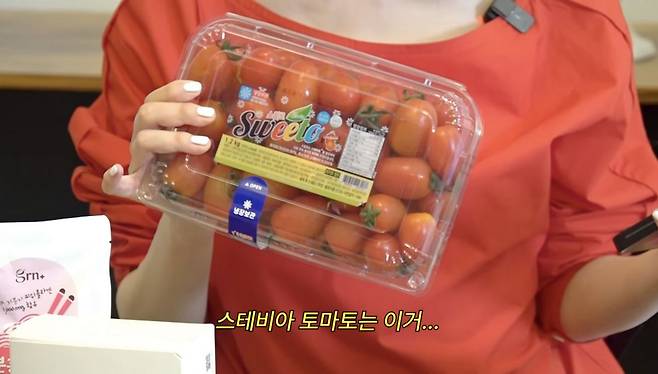 유튜브 〈고준희 Go〉