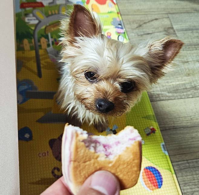 20250526_220758.jpg 저녁 된장찌개