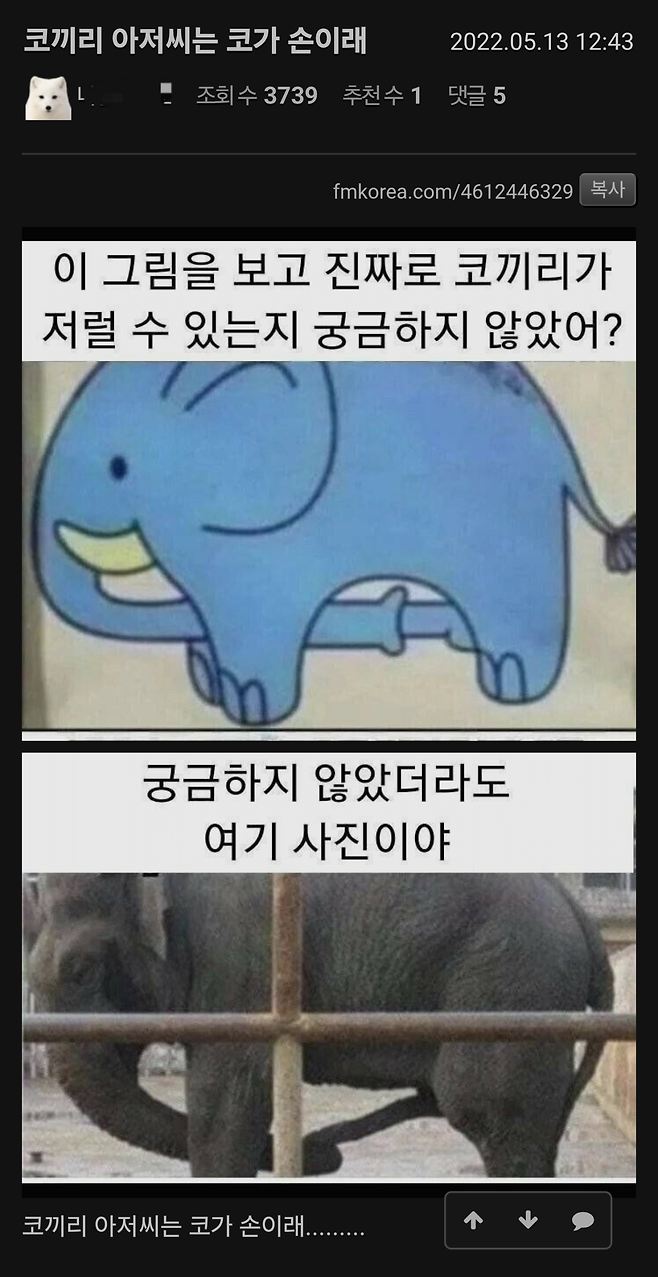 코끼리 아저씨는 코가 손이래