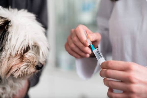 사진=클립아트코리아