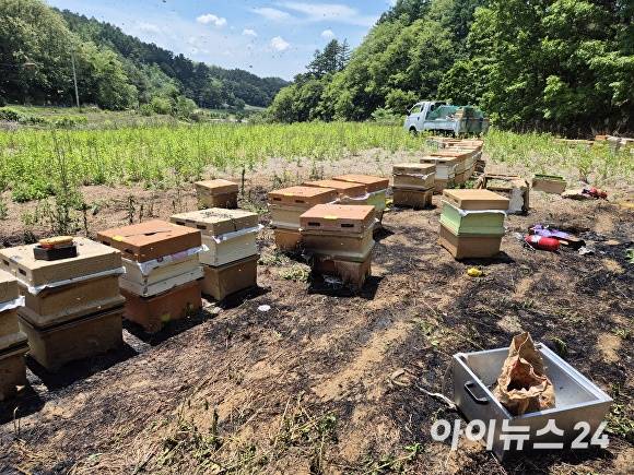 26일 낮 12시 19분쯤 봉화군 봉성면 외삼리에서 발행한 양봉장 화재 현장. [사진=경북소방본부]