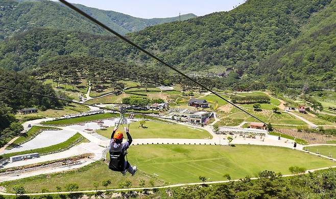 [정읍=뉴시스] 구절초지방공원 집와이어. (사진=뉴시스 DB). photo@newsis.com *재판매 및 DB 금지