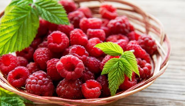 산딸기는 톡톡 터지는 식감과 새콤달콤한 풍미가 매력적인 초여름 과일이다. 이미지투데이