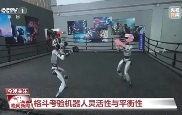 25일 중국 항저우에서 열린 휴머노이드 로봇 격투기 대회는 중국 기업들의 기술력 진화를 증명했다. 출처=CCTV1