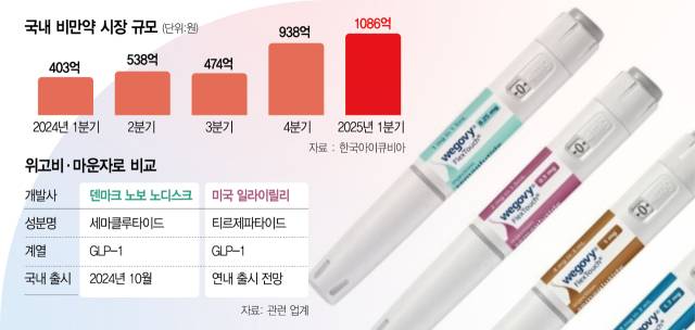 사진 설명