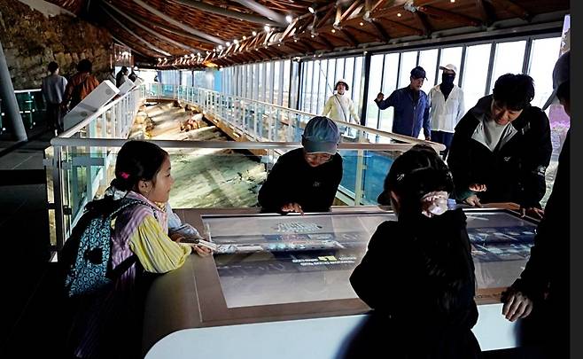 공룡 화석지 보호각 [해남군 제공·재판매 및 DB 금지]