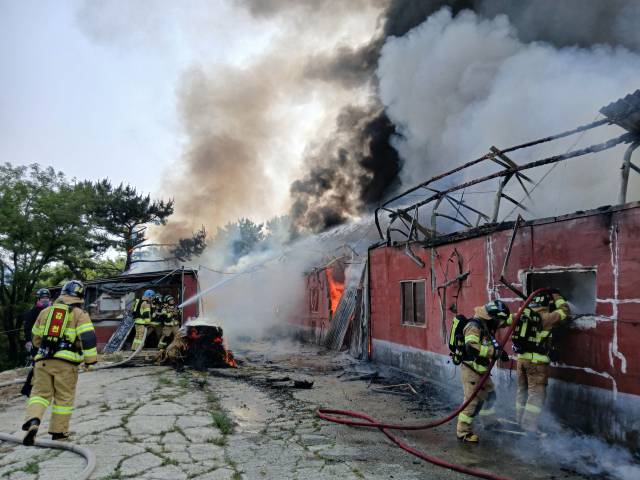 부산 사하구 산에 있는 동물농장에 불이 났다. 부산소방재난본부 제공