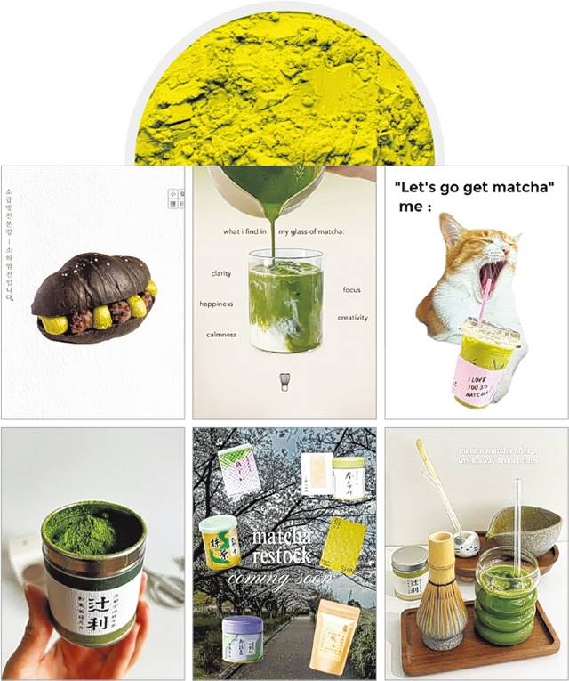 인스타그램에 ‘matcha’를 검색하면 나오는 게시물들./인스타그램 캡처/