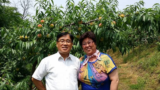 양문교 세종조치원복숭아연합회장과 배우자가 농사 도중 기념촬영을 하고 있다. 세종조치원복숭아연합회 제공