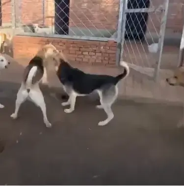 0cb3d92be4c631a960ec98a213d3341dcfe3d435d9bdc8d3826b5755