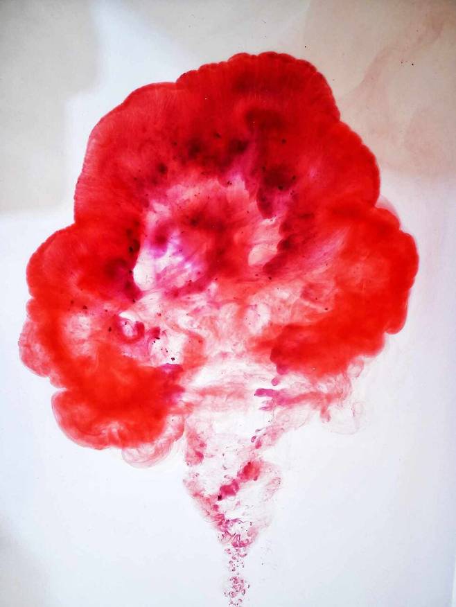 5월28일 세계 월경의 날을 맞아 월경과 폐경(완경)에 대한 다양한 접근과 인식 전환이 필요하다는 의견이 나온다. 출처 Vulvani.com