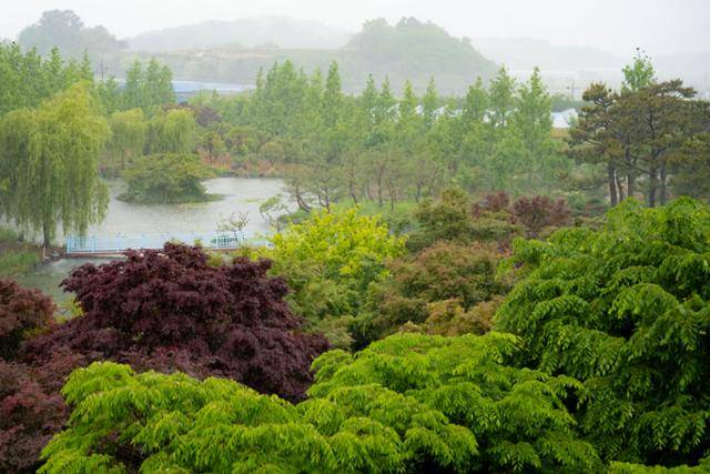 전남 고흥군 금세기정원의 수변 공원.