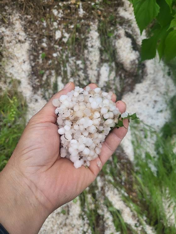 28일 오후 충북 단양군 어상천면에 쏟아진 우박. 연합뉴스