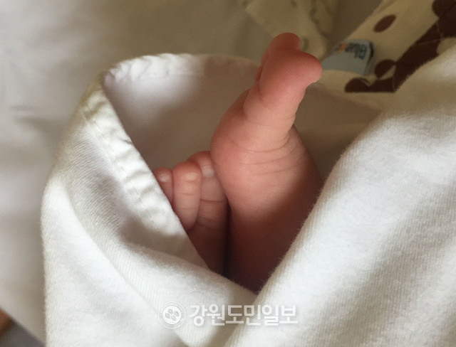 ▲ 강원도민일보 자료 사진