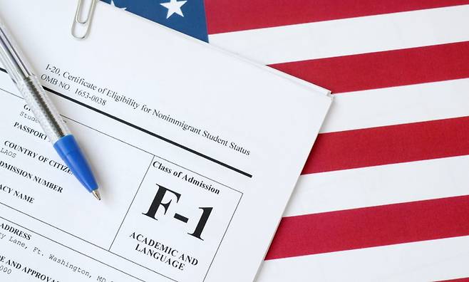 < 사진 제공 : 국민이주㈜ >