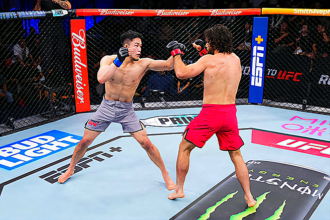 AFC 챔피언 박재현이 2025년 5월 중국 퍼포먼스 인스티튜트 상하이 Road to UFC 시즌4 라이트급 준준결승에서 호주 Eternal MMA 챔피언 잭 베커를 공격하고 있다. 사진=TKO