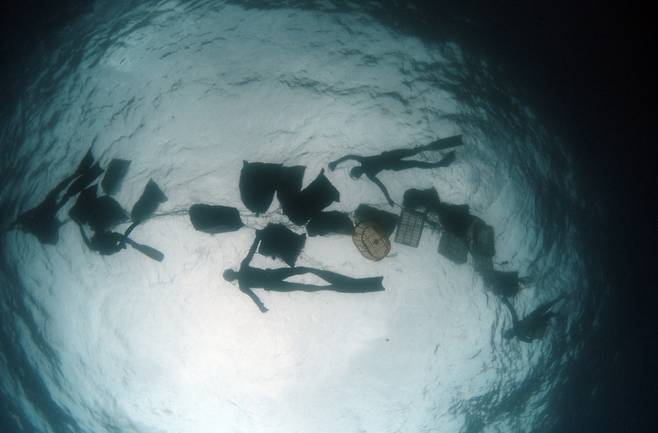 2023년 11월21일 제주 서귀포시 장방폭포 일대 지상 및 침적쓰레기를 플로빙 참가자들이 수거해 지상으로 옮기는 모습. /사진제공=플로빙 코리아.