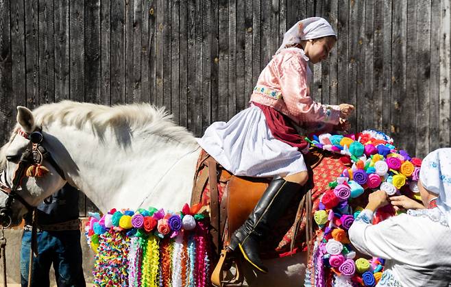 동유럽 낭만을 품은 나라 체코에서 전통 민속축제 '왕들의 탈 것'이 진행됐다. 사진은 지난 25일(현지시각) 체코 블츠노프에서 진행된 전통 민속 축제 '왕들의 탈것'에서 현지 의상을 입은 시민가 관람객이 행사에 참여할 말에 장식하고 있는 모습. /사진=로이터