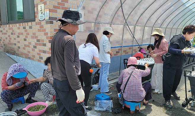 충북 충주시 소태면 가정마을에서&nbsp;‘농촌 어르신 복지 실천 시범사업’으로 농촌에 활력을 불어넣고 있다. 충주시 제공