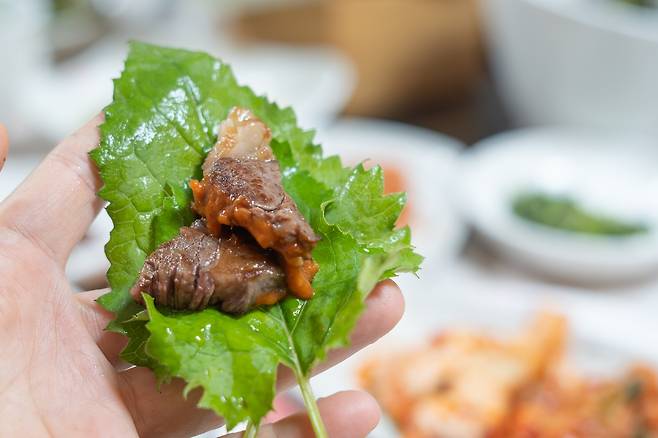 고기를 싸 먹으면 좋은 취나물  [사진/성연재 기자]