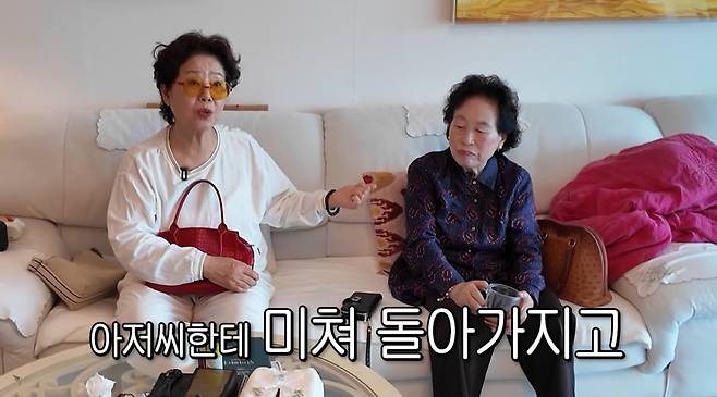 사진=순풍선우용녀 유튜브 캡처