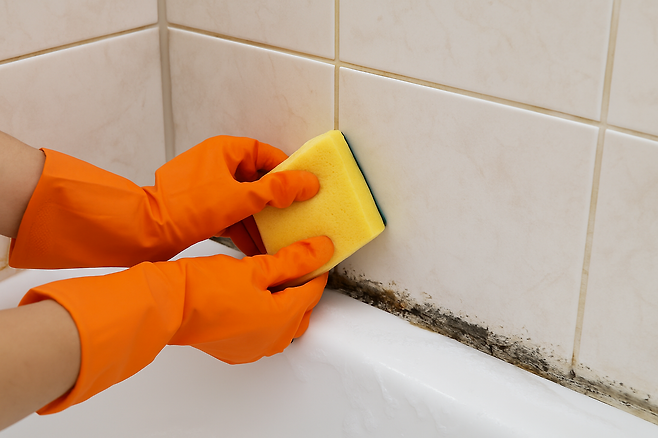 욕실 곰팡이를 수세미로 닦는 모습