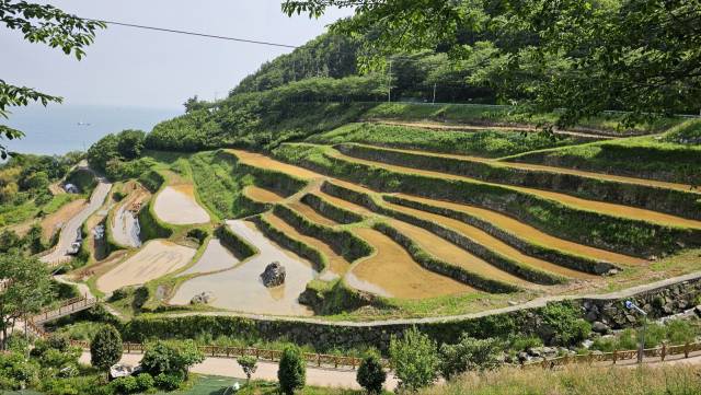 경남 남해군의 대표적 관광지이자 명승 경관 중 하나인 남면 다랭이마을 다랑이논에서 모내기가 한창이다. 다랑이논은 농사를 짓기 힘든 환경이지만 전통 농업 유산을 지켜내기 위한 주민과 보존회 노력 덕분에 영농 활동과 자연 경관이 어우러져 아름다운 풍광을 유지하고 있다. 남해군 제공