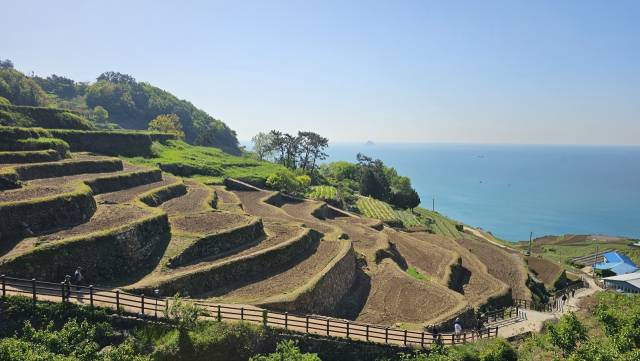 경남 남해군의 대표적 관광지이자 명승 경관 중 하나인 남면 다랭이마을 다랑이논에서 모내기가 한창이다. 다랑이논은 농사를 짓기 힘든 환경이지만 전통 농업 유산을 지켜내기 위한 주민과 보존회 노력 덕분에 영농 활동과 자연 경관이 어우러져 아름다운 풍광을 유지하고 있다. 남해군 제공