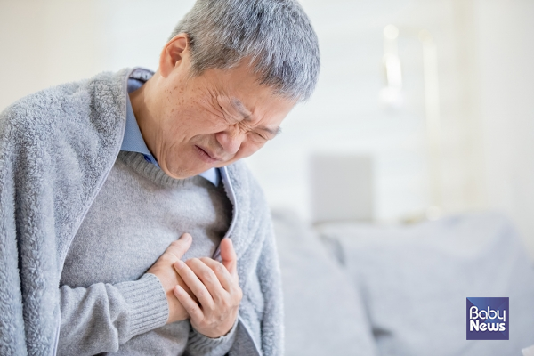 심근경색은 심장에 산소와 영양을 공급하는 중요한 관상동맥이 막혀서 발생한다. ⓒ베이비뉴스