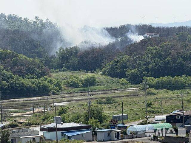 29일 해군초계기가 추락한 경북 포항시 동해면 사고 현장. / 뉴시스
