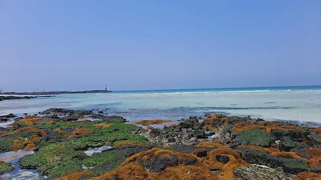 7fe88073b787072cb75f5d50e3836a371308ef8f0f01a3fb72eb902733e773