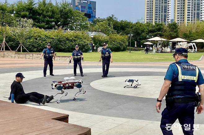 28일 오후 대구 수성구 수성못 상화동산에서 열린 대구경찰청 미래 치안 시스템 점검 시연회에서 인공지능(AI) 로봇견 ‘폴리봇’이 범인 역할을 맡은 남성을 제압하는 장면을 선보이고 있다. 명민준 기자 mmj86@donga.com