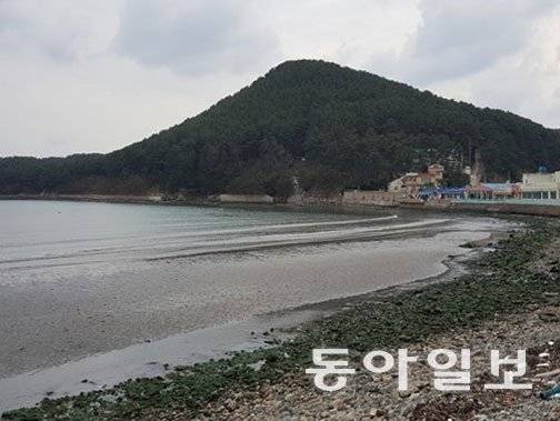 부산지방해양수산청의 다대포 해안 동측지구 연안정비사업이 시행되기 전인 2015년 다대포 동측 해안의 전경. 김화영 기자 run@donga.com