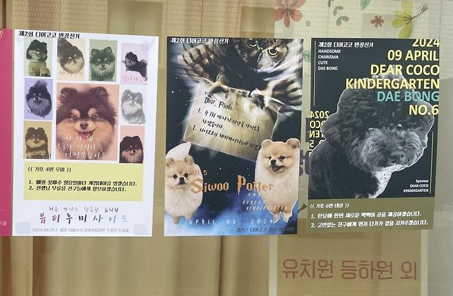 강아지 대통령 뽑는 강아지 유치원 ㄷㄷㄷ.jpg