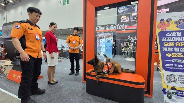 28일 2025 국제소방안전박람회가 열린 대구 북구 엑스코(EXCO) 전시장에서 구조견 해태가 관람객들을 맞고 있다. 대구=김재현 기자