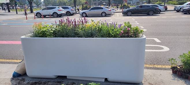 광화문광장에 설치된 콘크리트 화분. 서울시 제공