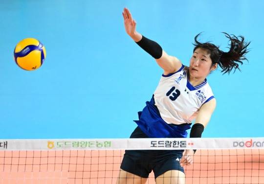 공격하는 현대건설 정지윤. 사진[연합뉴스]