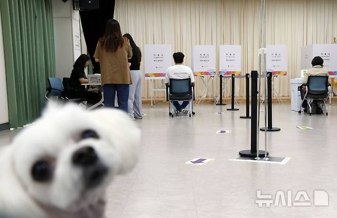 [부산=뉴시스] 하경민 기자 = 제21대 대통령선거 사전투표 첫날인 29일 부산 연제구 거제4동행정복지센터에 마련된 사전투표소에서 시민들이 소중한 한 표를 행사하는 모습을 애완견이 지켜보고 있다. 부산 사전투표는 오는 30일까지 이틀간 오전 6시~오후 6시 투표소 206곳에서 진행된다. 2025.05.29. yulnetphoto@newsis.com
