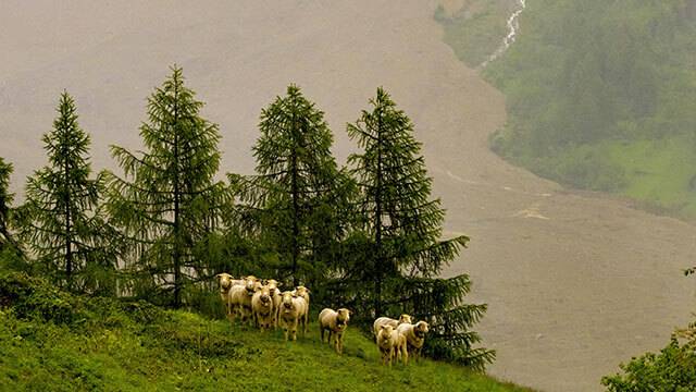 사진 AP=연합뉴스