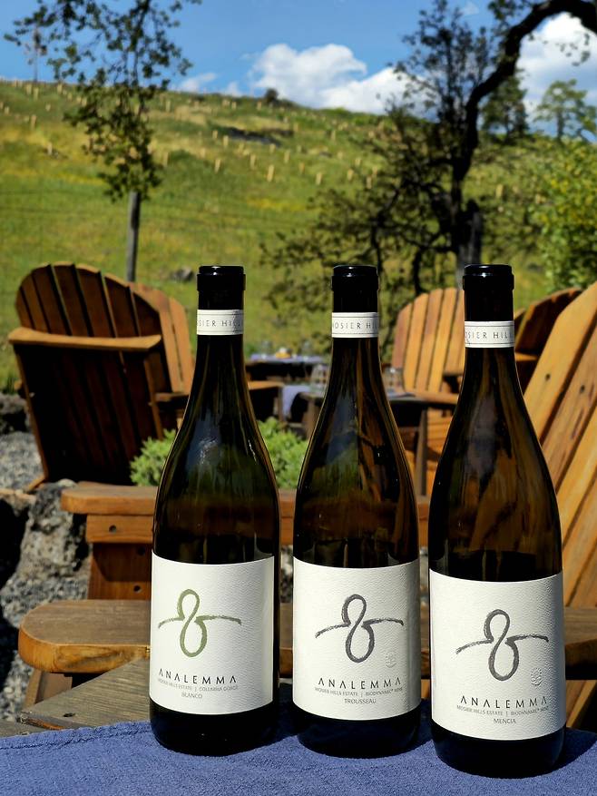 애널레마 대표 와인.