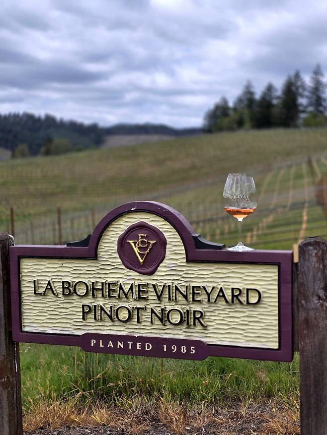 엘크 코브 빈야즈 라보엠 피노누아 포도밭.