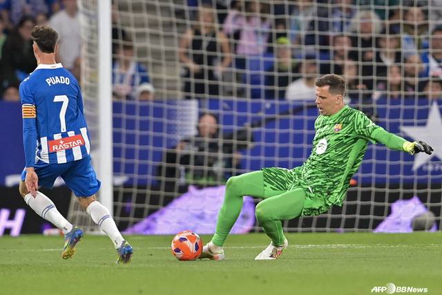 경기에 집중하는 보이치에흐 슈체스니. /AFPBBNews=뉴스1
