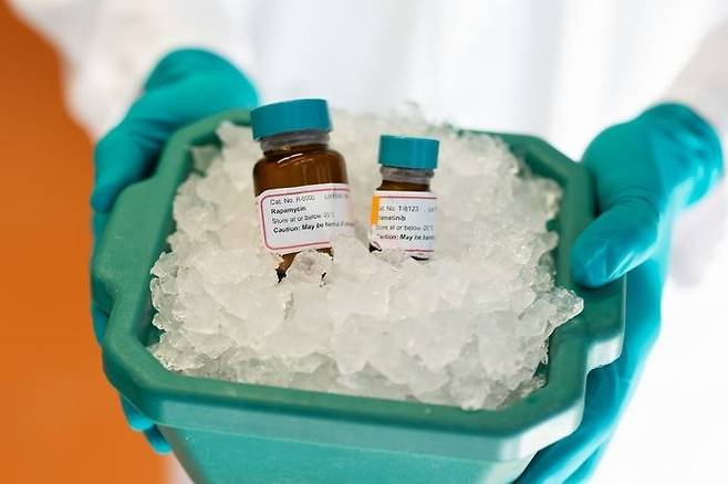 면역억제제 라파마이신(Rapamycin)과 항암제 트라메티닙(Trametinib) 미국 식품의약품청(FDA) 승인을 받은 면역억제제 라파마이신(Rapamycin)과 항암제 트라메티닙(Trametinib)을 생쥐에 함께 투여하면 수명이 약 30% 길어지는 것으로 나타났다. [K. Link / Max Planck Institute for Biology of Ageing 제공. 재판매 및 DB 금지]