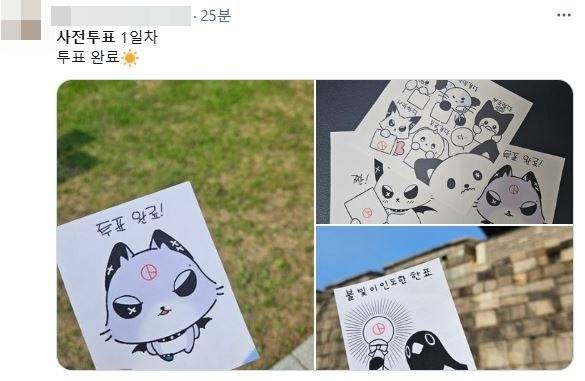 SNS 투표 인증샷 [X 캡처. 재판매 및 DB 금지]