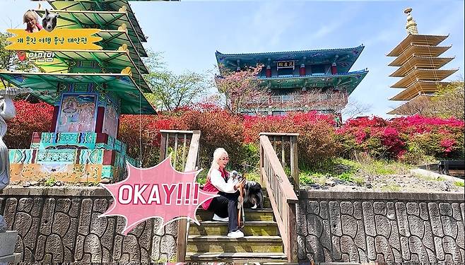 박해미와 반려견 키리의 충남 여행기 유튜브 충남관광 캡처