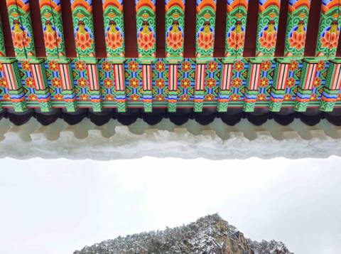 동해 삼화사 적광전 처마의 단청. 노재학 제공