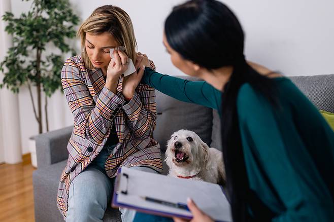 주인이 직장 스트레스를 느끼면 반려견도 스트레스 행동을 보이는 것으로 나타났다. [사진= 게티이미지뱅크]